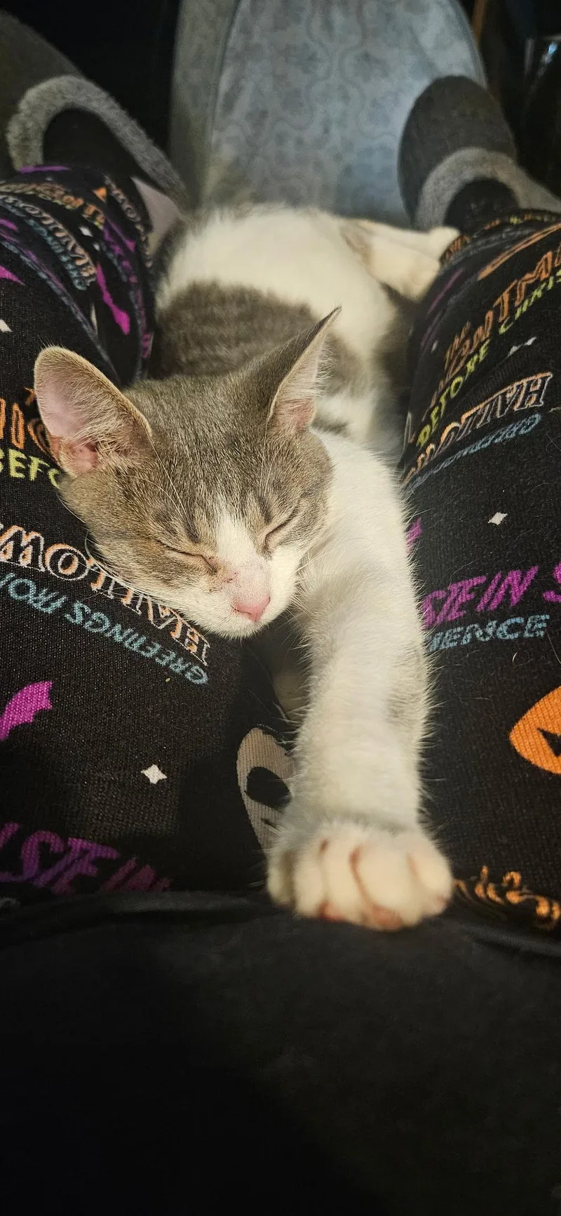 Pepper thumbnail 4