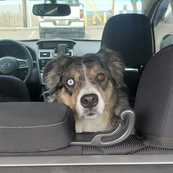 Max