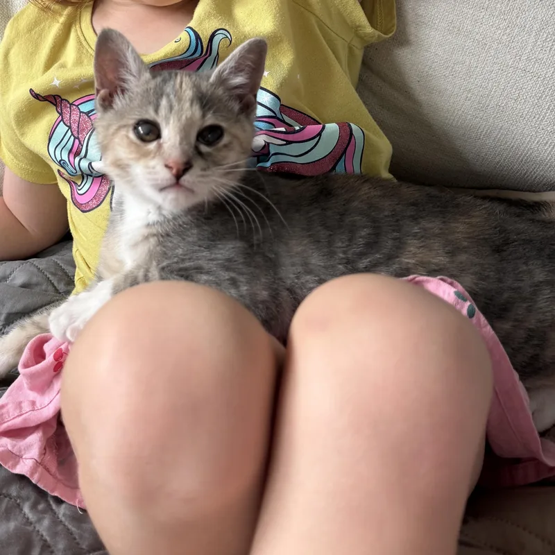 Bella thumbnail 3