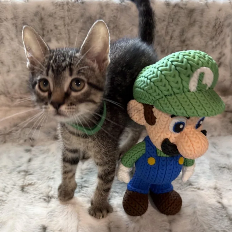 Luigi thumbnail 4