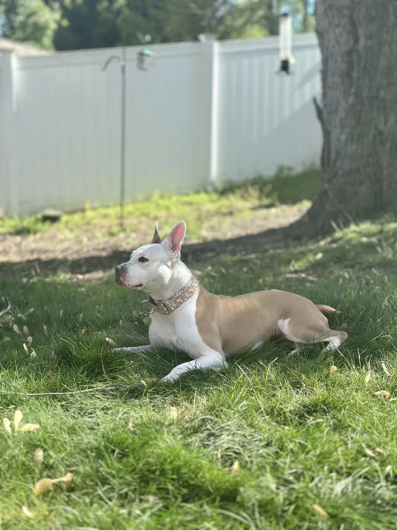 Minnie
