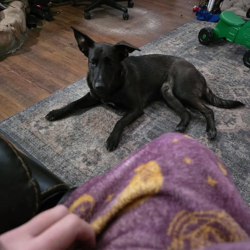 Karma thumbnail 2