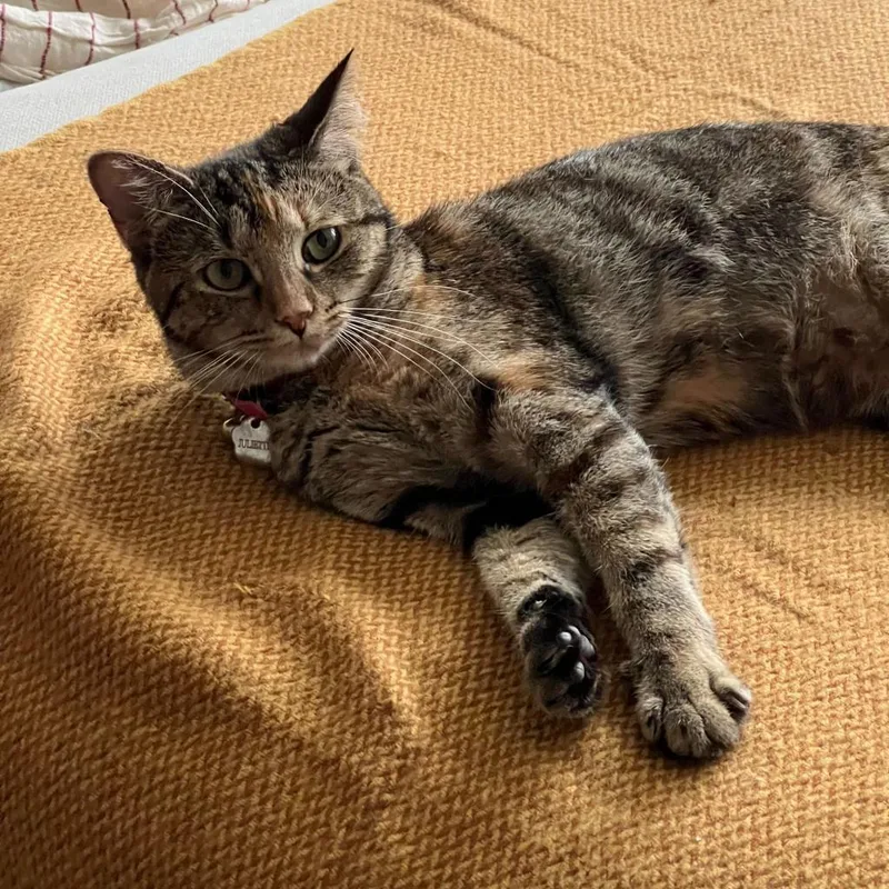 Juliette thumbnail 4