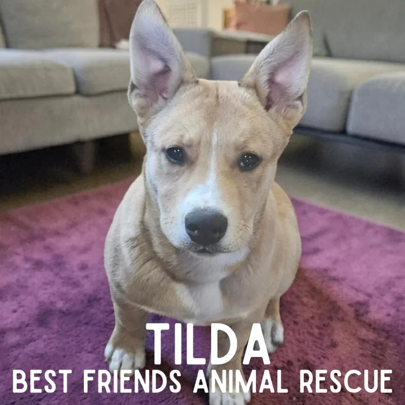 Tilda thumbnail 3