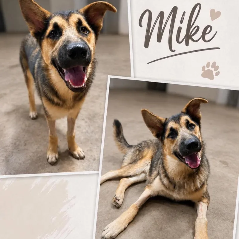 Mike
