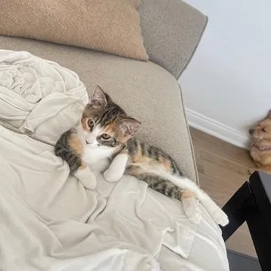 Baby Girl thumbnail 2