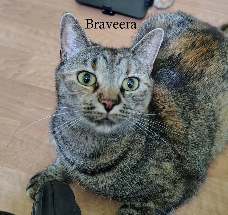 Braveera & Shyla