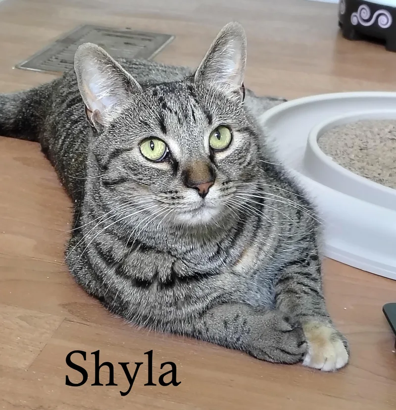 Braveera & Shyla thumbnail 4