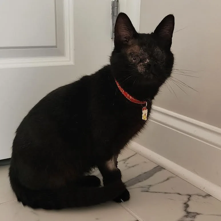 Evan Bates thumbnail 3