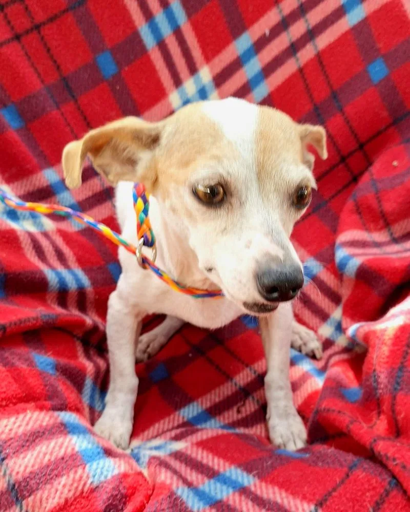 Liliana Orthw thumbnail 2