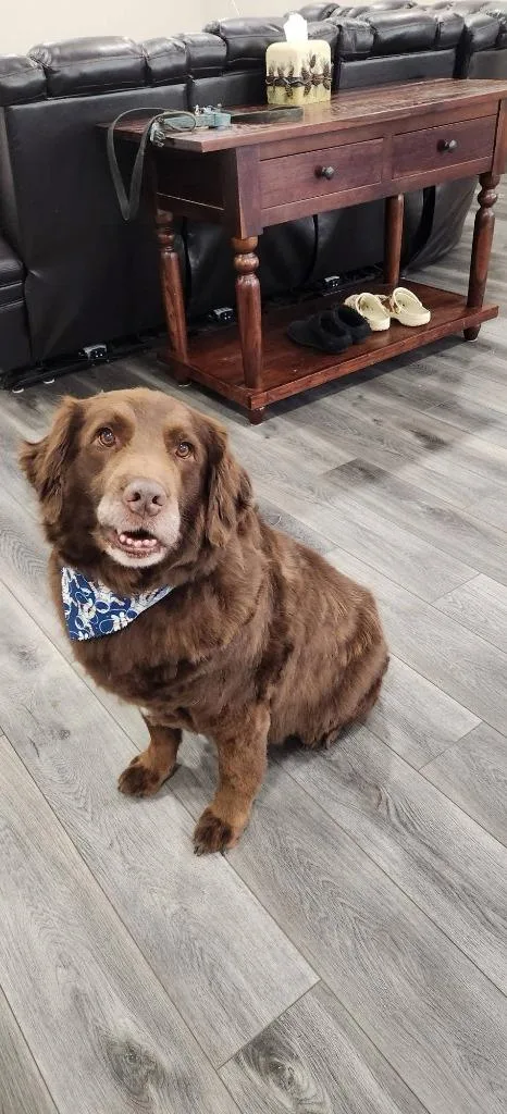 Grandpa Olaf thumbnail 2