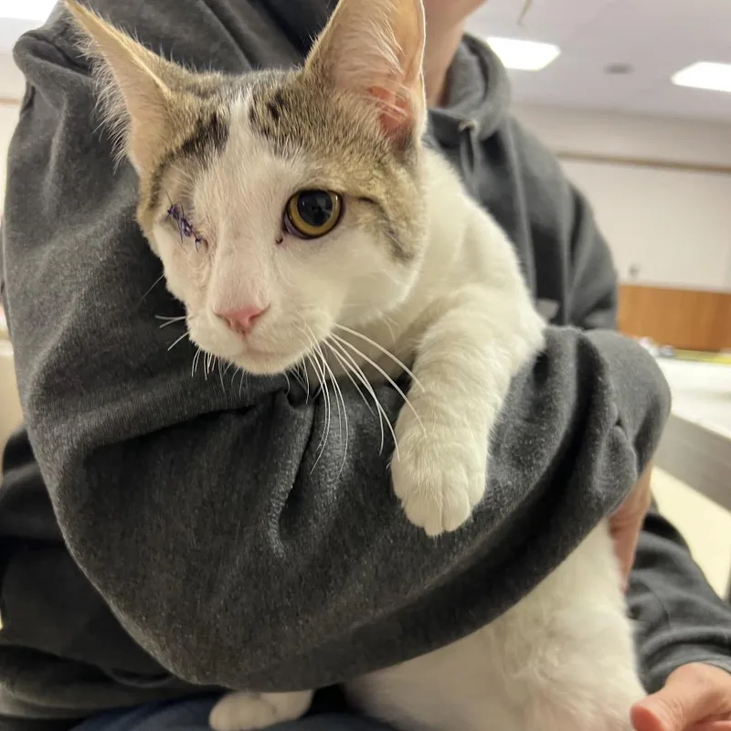 Dan The Man thumbnail 3