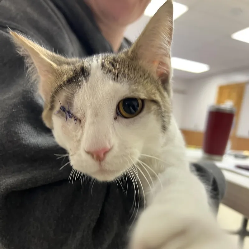 Dan The Man thumbnail 4