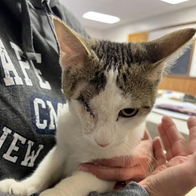 Dan The Man thumbnail 5