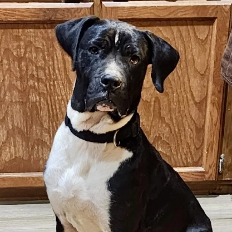 Bruno Mars thumbnail 2