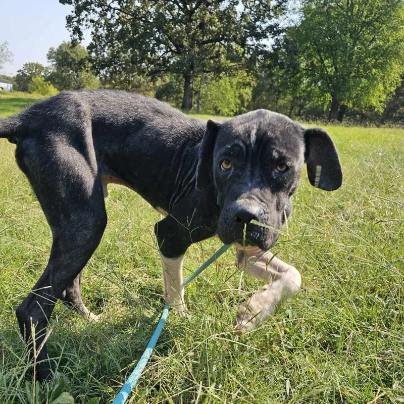 Bruno Mars thumbnail 3