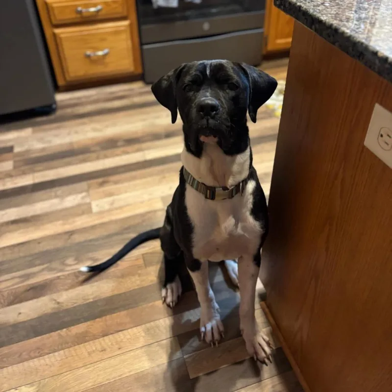 Bruno Mars thumbnail 4