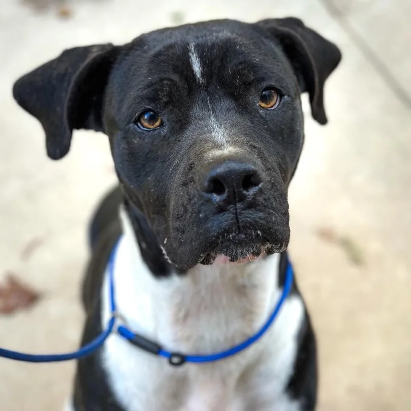 Bruno Mars thumbnail 5