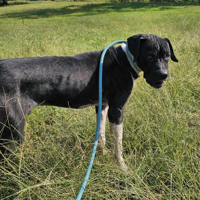 Bruno Mars thumbnail 6