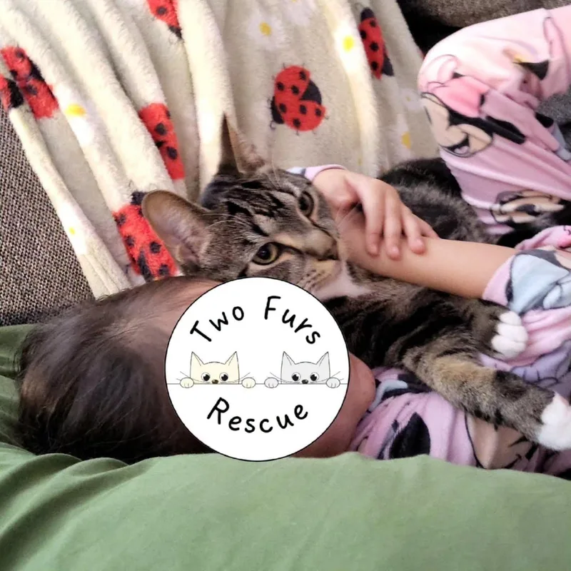 Loki thumbnail 3