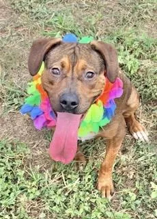 Elizabeth thumbnail 3