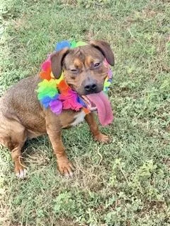 Elizabeth thumbnail 5