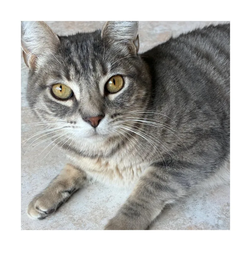 Frankie thumbnail 6
