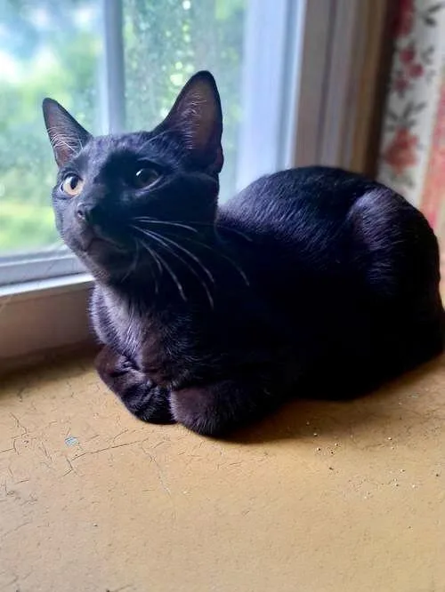 Danny  Willow Grove thumbnail 2