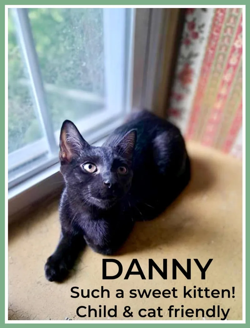 Danny  Willow Grove thumbnail 3