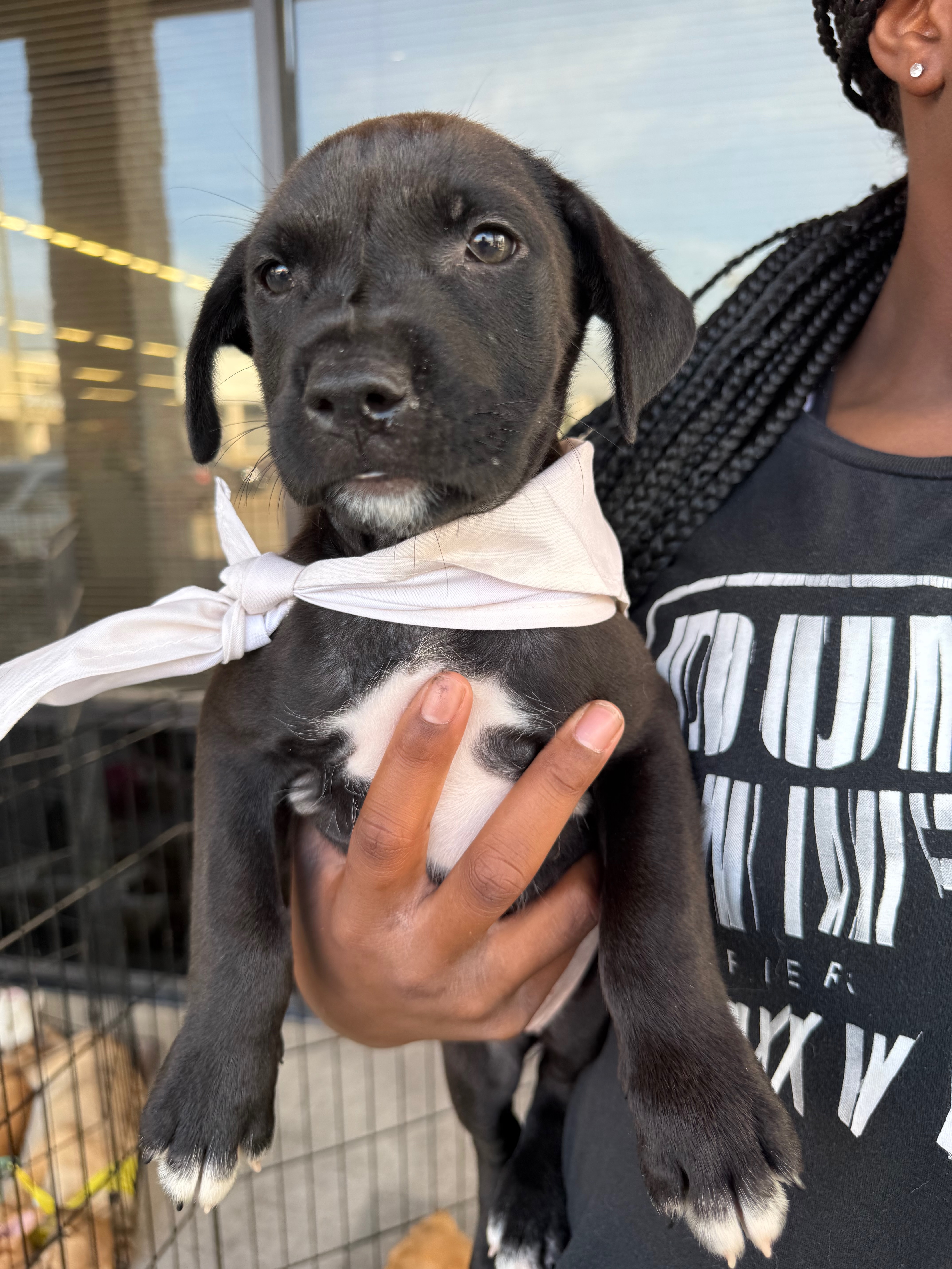 Lily  Co thumbnail 5