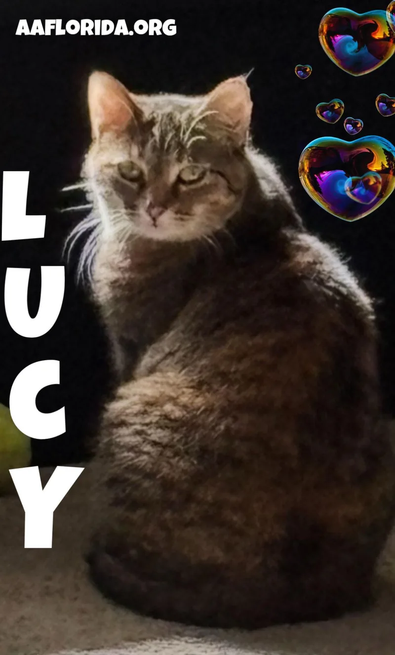 Lucy thumbnail 2
