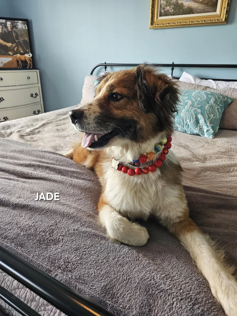 Jade thumbnail 2