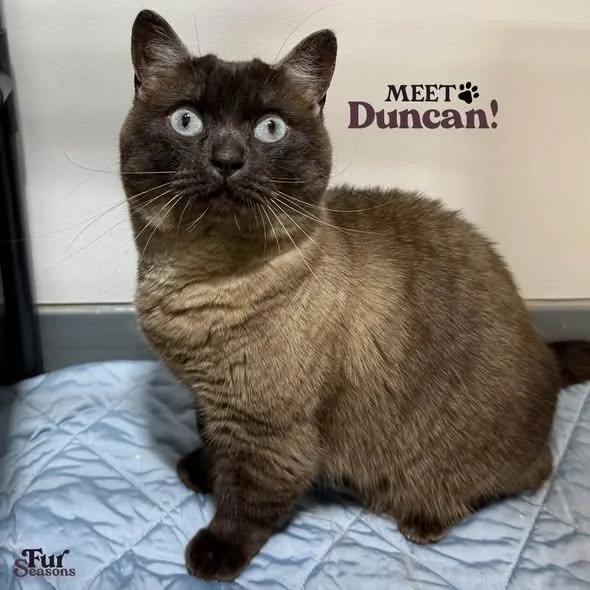 Duncan thumbnail 2