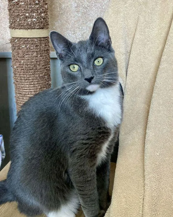 Isabella thumbnail 2