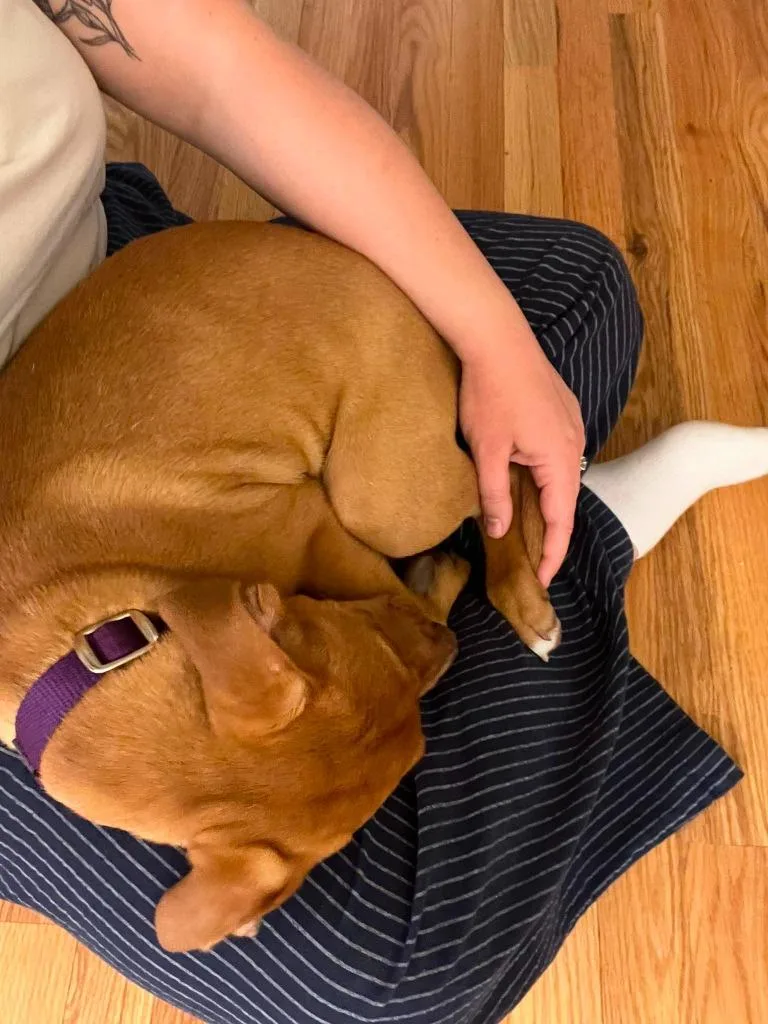 Nutmeg thumbnail 3