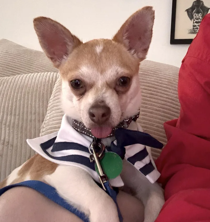 Lafayette thumbnail 2