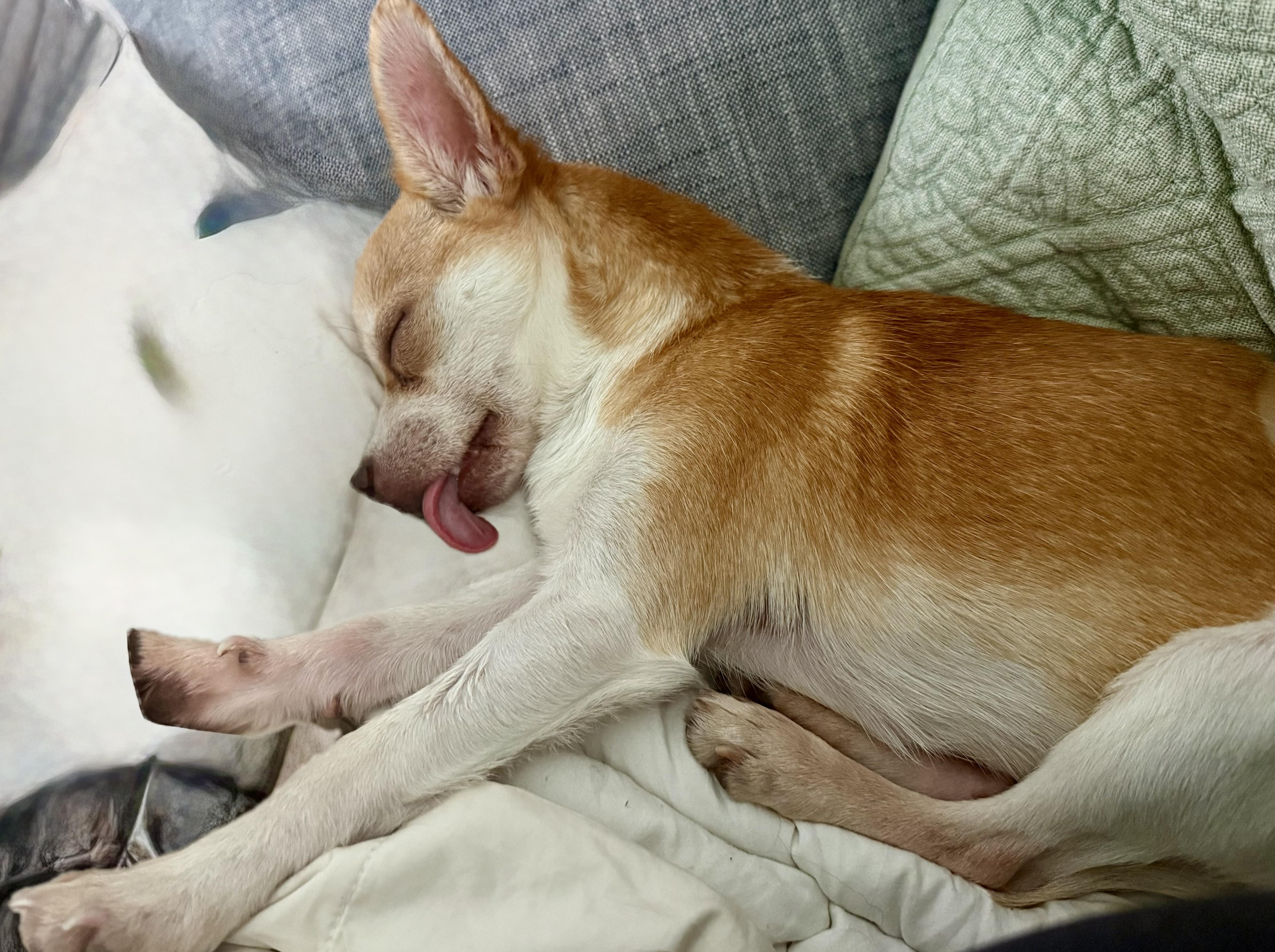 Lafayette thumbnail 3