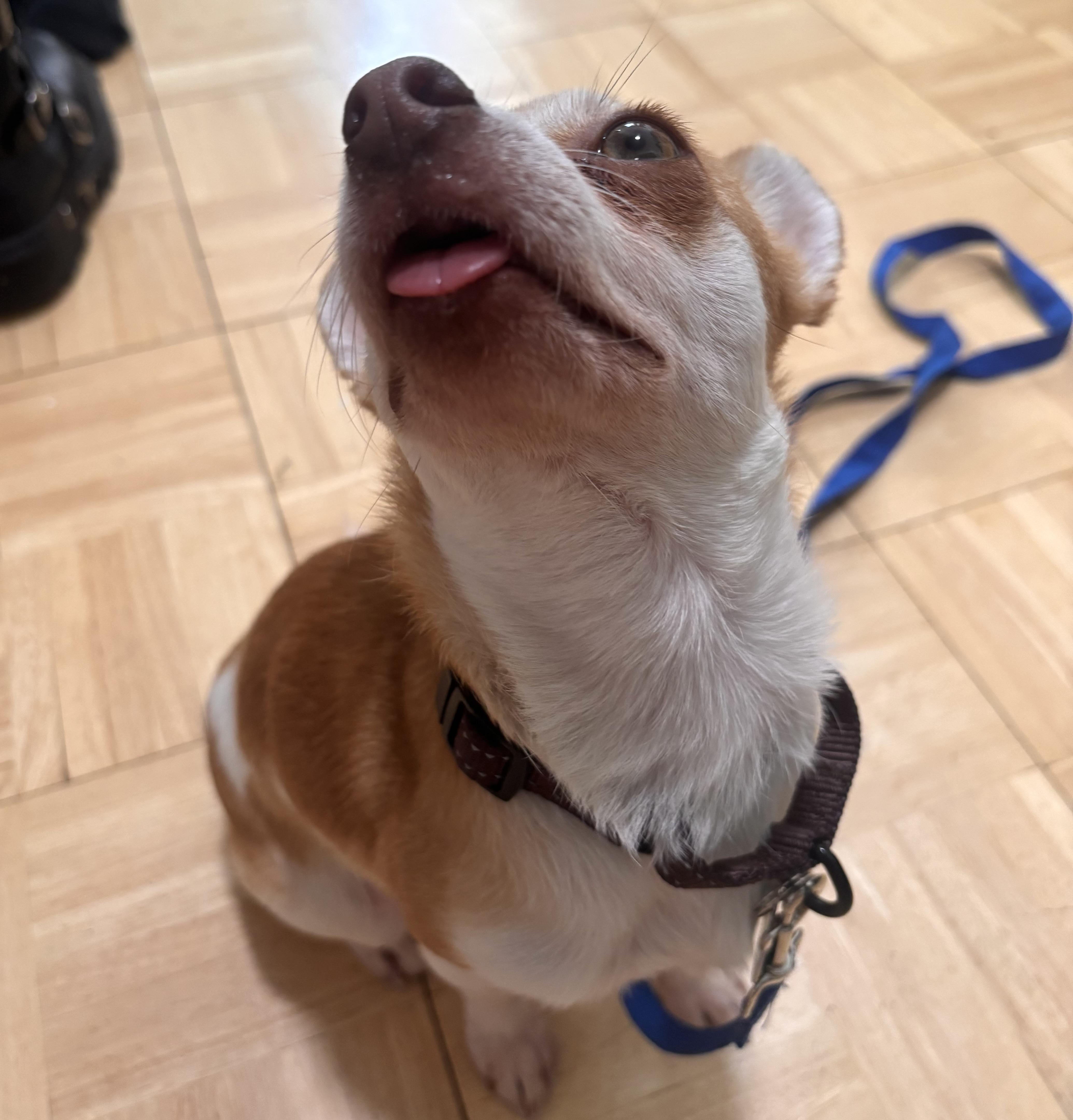 Lafayette thumbnail 4