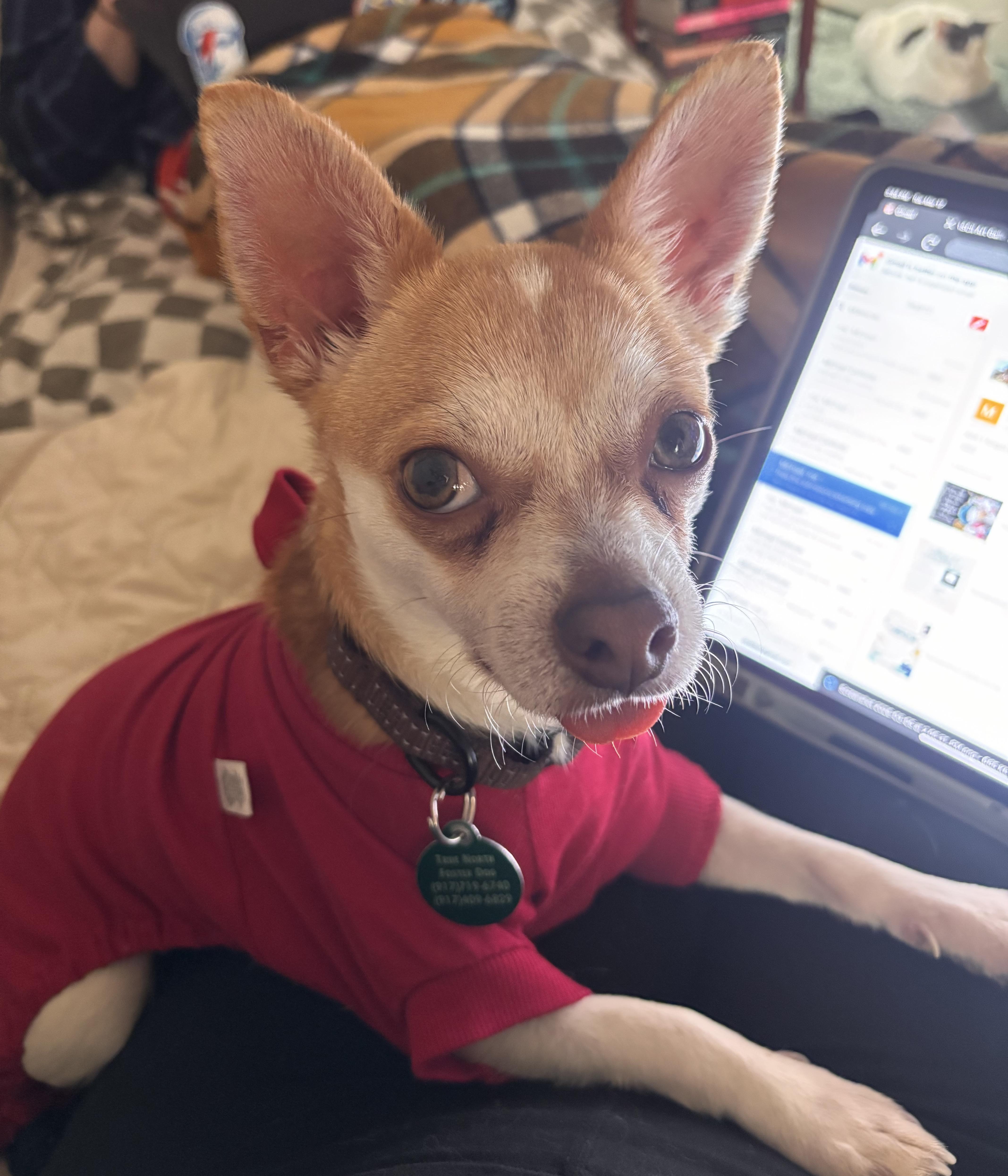 Lafayette thumbnail 5